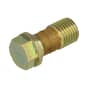Genuine Echo Banjo Bolt - 120131-00120