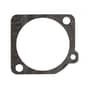 Genuine Echo Metering Gasket - P005-000200