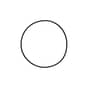 Genuine Echo O Ring - P005004260