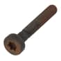 Genuine Echo Torx Bolt - V805000180