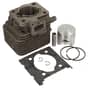 Genuine Efco Complete Cylinder - 61460025