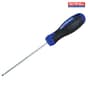 Soft-Grip Screwdriver Terminal 3mm x 100mm