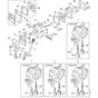 Genuine Stihl HS45 - Carburettor C1Q-S169, C1Q-S170, C1Q-S70, C1Q-S150
