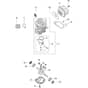 GS 35 C - Oleo-Mac Chainsaw Engine Diagram