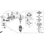 Honda HF2622-HMF -  Starter Motor Diagram