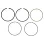 Genuine Honda Piston Ring Set - Std - 13010-ZF6-005