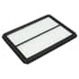 Genuine GGP Air Filter - 118551668/0