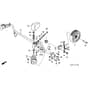 Honda HRZ536C2-TDEA -  Front Wheel Diagram