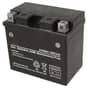 Genuine McCulloch MC30, M105-77X, M125-77X - 12V Battery - 532 43 65 51 