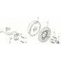 K1100 H (EURO5) - Bertolini Engine Flywheel and coil Diagram