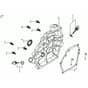 K900 H - Bertolini Engine Crankcase cover Diagram