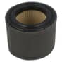 Genuine Kawasaki FJ180V Air Filter - 110290032