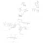 Cobra LTX66HRL - Tractor Jan 2025 Body Diagram