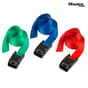 Master Lock Lashing Straps with Metal Buckle Coloured 2.5m 2 Piece - 3110EURDATCOL