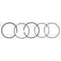 Genuine Mountfield RS100, RV100 Piston Ring Set - 118550679/0