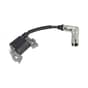Genuine GGP RV100 Ignition Coil - 118550719/0