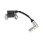 Genuine GGP RV100 Ignition Coil - 118550719/0