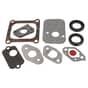 Genuine Mountfield HP164, HP41, SP164, SP45 Engine Gasket Set - 118550940/0