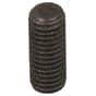 Genuine GGP Screw - 118800385/0