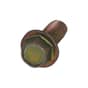 Genuine Masport Self Tapping Screw - 503146