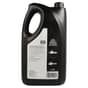 Genuine Oregon Bar And Chain Oil Premium All Season 5L - 90005