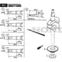 SP425 - 2020-2021 - 2L0432038/M19 - Mountfield Rotary Mower Crankshaft Diagram