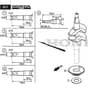 SP465 R - 2019-2021 - 299489038/M19 - Mountfield Rotary Mower Crankshaft Diagram