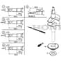 SP555 V - 2019-2021 - 294563038/M19 - Mountfield Rotary Mower Crankshaft Diagram