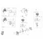 SPARTA 441 BP - Oleo-Mac Brushcutter Engine Diagram