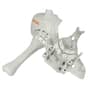 Genuine Stihl FS55 & KM55 Engine Housing - 4140 020 3011