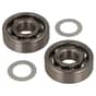 Genuine Stihl Crank Bearing Set  (2 Piece) - 4144 020 2050