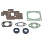 Genuine Stihl Set Of Gaskets - 4229 007 1050