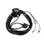 Genuine Viking GE150, GE250 Switch - 6008 430 0504