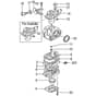 Tanaka TBC-2501SF - Carburettor