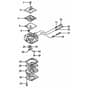 Tanaka TBC-500N - Carburettor