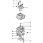 Tanaka TED-250RS - B013800 - Carburettor