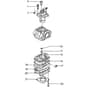 Tanaka THT-210SA - Carburettor