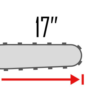 17