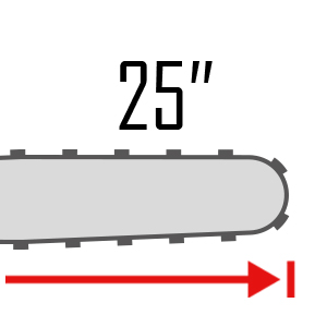 25