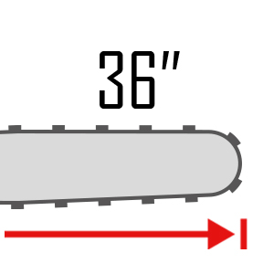 36