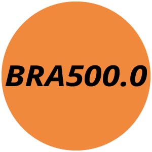 BRA500.0 Cordless Backpack Blowers