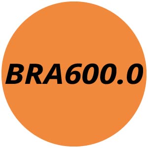 BRA600.0 Cordless Backpack Blowers