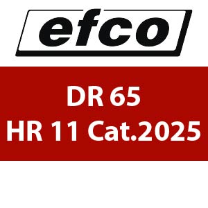 Efco DR 65 HR 11 Cat.2025 - Flail Mower Parts
