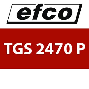 Efco TGS 2470 P - Hedge Trimmer Parts