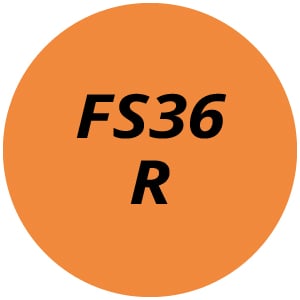 FS36 R Brushcutter Parts