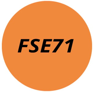 FSE71 Electric Strimmer Parts