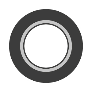 Governor Arm Seals - 4/Stroke