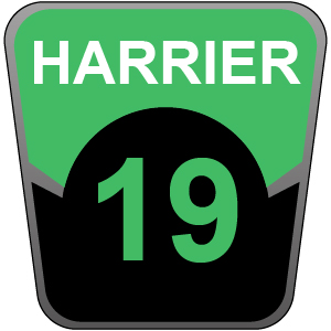 Harrier 19