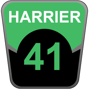 Harrier 41