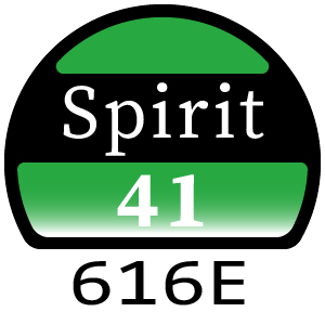 Hayter Spirit 41 Petrol Push 4 Wheel - 616E (270000001 - 311089999)